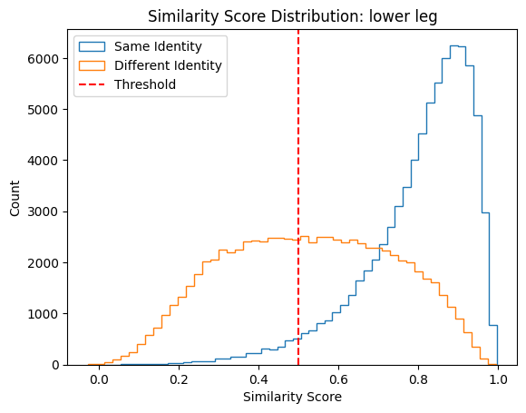 similarity score distribution for lower legs